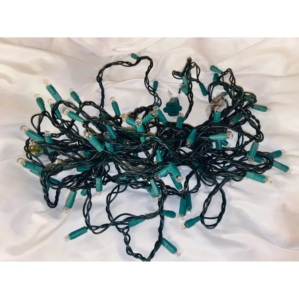 19 Ft Clear Button Christmas String Lights Tested & Working